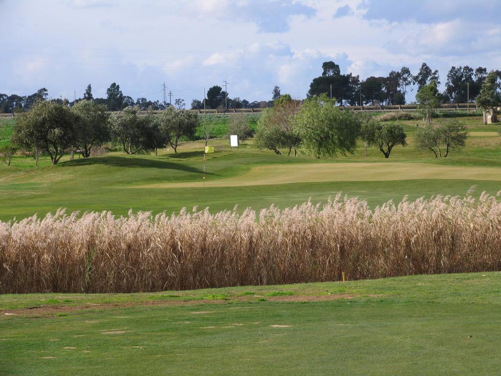 בית הארחה Golf Club מטאפונטו מראה חיצוני תמונה